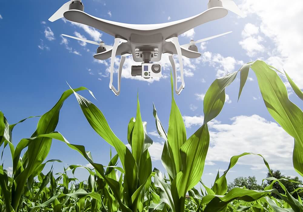 Máy bay không người lái (Flycam, Drone, UAV) trong nông nghiệp hiện đại